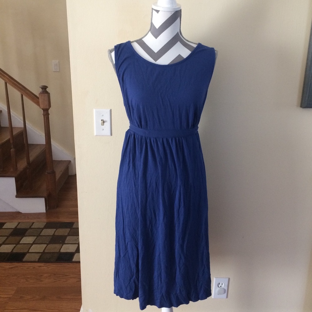 Liz Lange maternity midi dress in blue
